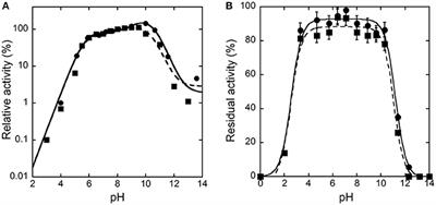 Biochemical Properties of Human D-Amino Acid Oxidase